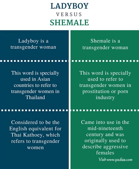 tranny vs shemale|Difference Between Transgender and She